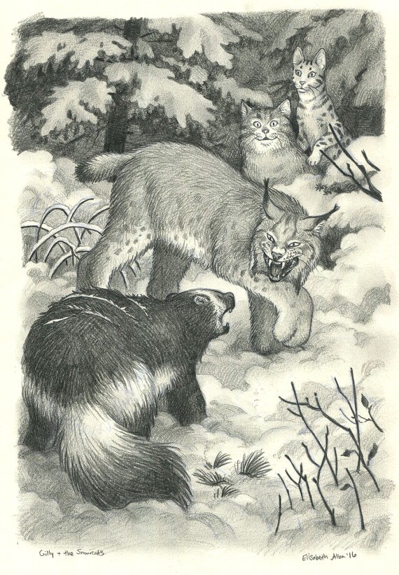 gilly-snowcats-image14