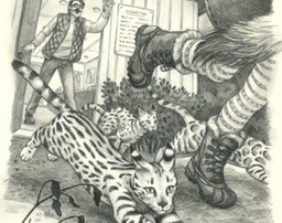 gilly-snowcats-image4