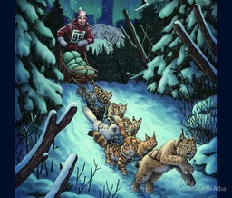 gilly-snowcats-image6