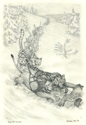 gilly-snowcats-image8