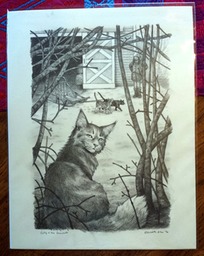 gilly-snowcats-image9