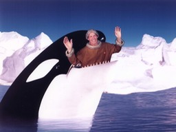 Orca eating me